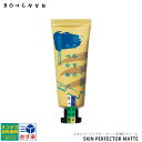 ポスト投函便送料無料※条件付き BOTCHAN SKIN PERFECTOR MATTE ボッチャン スキンパーフェクター メンズ肌補正クリーム 20g 男性用スキンケア 毛穴 スキンケア botchan skin 正規品 通販 バレンタイン ホワイトデー
