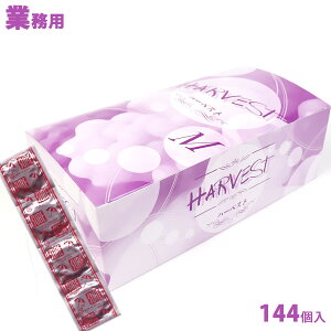 Rh[ n[xXgVA[ MTCY 144 S s S  Mtg ʔ 2025