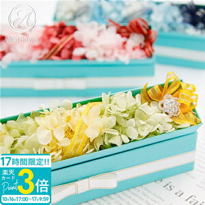 yP3{z vU[uht[ AWg {bNX Mtg  Ki v[g j a ސEj LO LO 킢 A[gt[ CG[ u[ bh