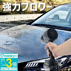 【P3倍】【TikTokで今話題の】 ブロワー エアダスター 洗車 落ち葉 掃除 強風 ターボジェットファン リチウムバッテリー 充電式 小型 強力 互換 エアー ハンディ