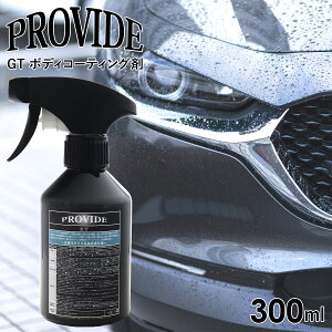 v@Ch GT {fBR[eBO 300ml ԗp VR[ R[eBO h  eiX  v  hی {fB y ȒP ʔ 2025