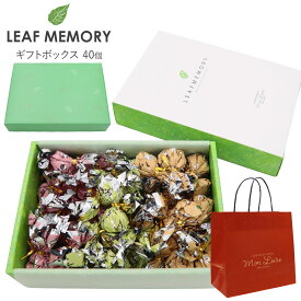 モンロワール リーフメモリー ギフトボックス 40個入り モンロワール チョコ 個包装 大量 モンロワール チョコレート 個包装 大容量 モンロワールリーフメモリー ギフト お菓子 詰め合わせ お菓子 ギフト ハロウィン