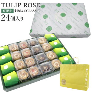 TULIP ROSE `[bv[Y FCLASSIC Mtg 24 TJ-F0 tokyo `[bv[Y Mtg F َq lߍ킹 OhV  t}[W XC[c Ăَq 