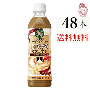 Tg[i {X Ƃ낯JtFI500ml PET 2P[X 48{ R[q[