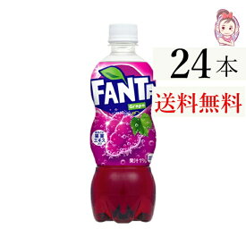 送料無料 ファンタグレープ PET 500ml 24本×1ケース 計:24本