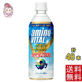 キリン アミノバイタルGOLD 2000ドリンク 555ml PET 2ケース計:48本 キリン