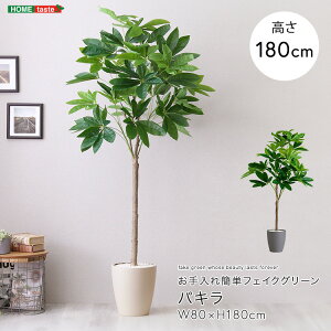 ȒPtFCNO[ pL LTCY(180cm) utFCNO[ lHϗtA ϗtA t pL LTCY 180cm  A O[ ȒP k #_CjOv
