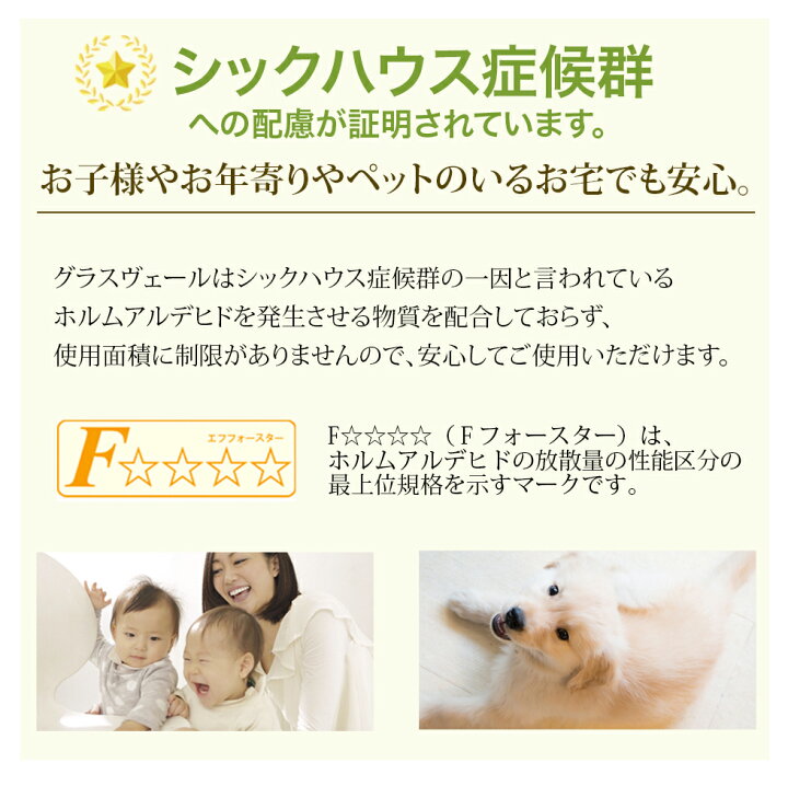 楽天市場】フローリング ガラスコーティング剤 グラスヴェール フロア 