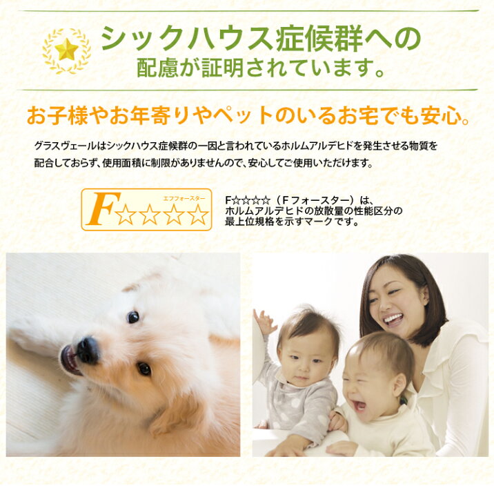 楽天市場】【フローリング用 水周り用コーティング剤】グラスヴェール 