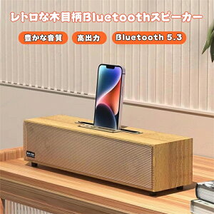 CXXs[J[ |[^uXs[J[ USBdUSBd AUXڑ ؐ ^ RpNg y USB obe[ EbhfUC 8w*2 ԘAĐ TFJ[h/AUXΉ ؖڒ ȒP