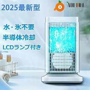 y2025ŐVo 2䌸z1980~̔lCzy ̐ EXȂz╗@  lC ╗ ^ ╗@ 4iK Cgt ȃGl ~j N[[   p C d