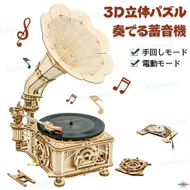 立体パズル 木製 奏でる蓄音機 ウッドパズル キグミ きぐみ 木組み 木製パズル ウッド 3D木製パズル 3Dウッドパズル 手作りキット 組み立て DIY 木製玩具 木のおもちゃ 作キット 段ボール 脳トレ おうち時間 高級感 小学生 大人 子供 プレゼン 誕生日 知育