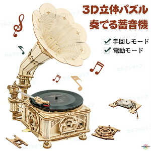 ̃pY ؐ tł~@ EbhpY LO~  ؑg ؐpY Ebh 3DؐpY 3DEbhpY Lbg gݗ DIY ؐߋ ؂̂ Lbg i{[ ]g