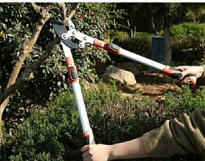 }؂΂ ΂ őؒfa110mm ΂ eR Lk68-101cm |pi }͂ A~ ꔭؒf ϋv LCȐؒf