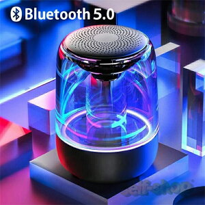 y2025Voz Xs[J[ bluetooth  CX ԍ u^ CXXs[J[ u[gD[X iphone/android/pcΉ  v[g u^  RpNg |[^u T