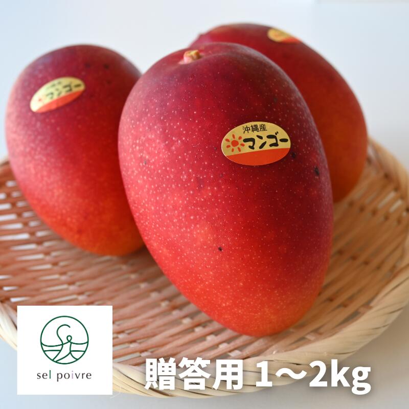 楽天市場】【令和6年度予約販売】沖縄県豊見城市産 アップルマンゴー