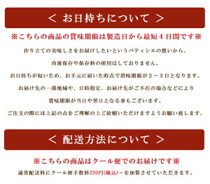 【フロマージュ&霧のショコラ】16個入りとろける口溶け半熟チーズケーキ濃厚チョコレートケーキ贈り物ギフトふわとろ食感フランス産クリームチーズ使用まるで生チョコのようなチョコケーキ一口サイズ個装パッケージフランシーズ
