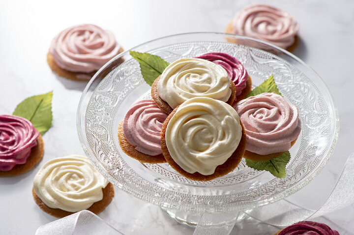 楽天市場 フルーツゼリー ギフト グラン エテ ワイド ゼリー 焼き菓子詰め合わせ 果実入り ボトルジュレ ゼリー クッキー 焼き菓子 メレンゲクッキー 送料無料 Selvice Lifedesign