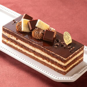 aP[L a fR[VP[LyW_z VREt}[WEt{[YEE}S[ v[g P[L LO 񂹃XC[c Mtg j