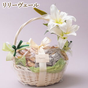  Đ Mtgy[F[z䋟 @ ~ ފ  S  َq Ăَq NbL[ pC lߍ킹 񂹃Mtg  Ε  tV[Y