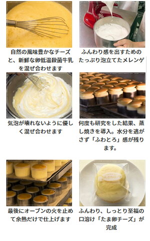 【5400円以上送料無料】ひとくちチーズケーキ【たま卵チーズ】卒業祝い退職祝いお菓子プレゼント内祝いお供え物個包装8個入りTVや多くの芸能人にも話題の大阪土産新大阪駅&通販限定販売たまらんチーズセルビスライフデザインフランシーズ