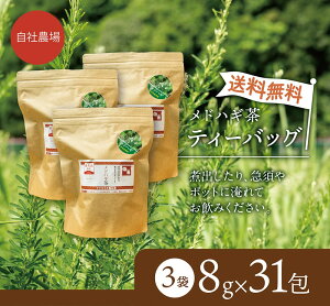 N Y hnMieB[obOjmJtFC  Y i`K[f ߂ǂ͂ Hi v[g  NaturalGarden  Mtg  Ε