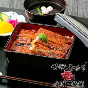 Jbgς Y IȂăZbg  260g O͈FYi80g×2A50g×2AꁕR×4j / V ⓀȂ ⓀV Mtg i ⓀHi mY Y yp N̓[am]yz