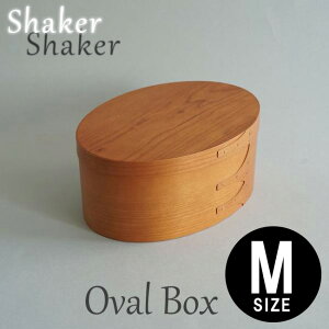 VF[J[I[o{bNX M i` HS2849  AXCIS ؐ Wt [{bNX [P[X ؖ Vv k CeA  ی` ~` I[o 킢 ANZT[{bN