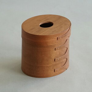 VF[J[eBbV{bNX i` HS3314 eBbVP[X AXCIS ؐ Wt [{bNX [P[X ؖ Vv k CeA  ی` ~` I[o 킢 y[p[