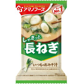 アマノフーズ いつものおみそ汁　長ねぎ（10食入り）/ フリーズドライ味噌汁 お味噌汁 即席 インスタント[am]