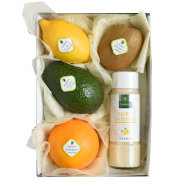 [創業185年余 元祖千疋屋（せんびきや）公式]千疋屋総本店　フルーツサラダ詰合（アボカド・オレンジ・キウイ・レモン・ドレッシング）