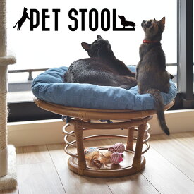 人も座れる ペットベッド スツール ロータイプ ペット用椅子 ペット用ベッド クッション ラタン 籐 家具 おしゃれ インテリア 猫用ベッド 犬用ベッド かわいい ペットベッド 猫 小型犬