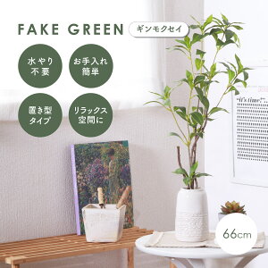 tFCNO[ MNZC ϗtA  nMO  u^  CeA   t Lt