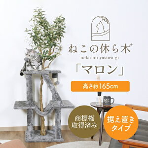 フェイクグリーン付き キャットタワー 据え置き型 コンパクト スリム おしゃれ おすすめ シンプル 爪とぎ ハンモック付き 木製 階段状