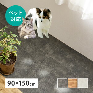 ɂ NbVtA 90×150cm tAV[g ybg  ~ u  Ȃ  Lb`  rO t[OV[g ؖ ^C ubN ^ RN