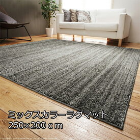 【7日限定!!＼当店全品PT2倍!!／】 複雑に混じる色彩 ミックスカラー ラグマット 250x200cm 3畳 長方形 おしゃれ 滑り止め付き 日本製 スミノエ ラグ 北欧 厚手 激安 安い ラグカーペット 国産 床暖房 ホットカーペット対応