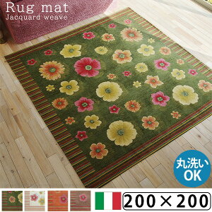 {C^A񂹂 WK[hD O}bg 200x200cm  􂦂  ~ k   g[ zbgJ[ybgΉ CeA ` ԕ ~ߕt rO O~ ~