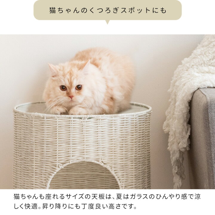 楽天市場】サイドテーブルにもなる ガラス天板 猫ちぐら 人工ラタン 