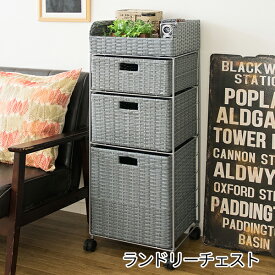 楽天市場 プラスチック チェスト 奥行30の通販