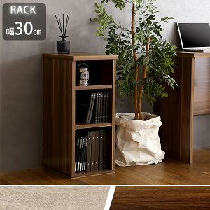 �f�X�N���L���� �V���v���f�X�N�p �T�C�h���b�N 30cm�� �f�X�N�T�C�h���b�N �J���[�{�b�N�X 3�i ���I ���s40 ���[�I �f�X�N�� �{�I �ؐ� ���B���e�[�W