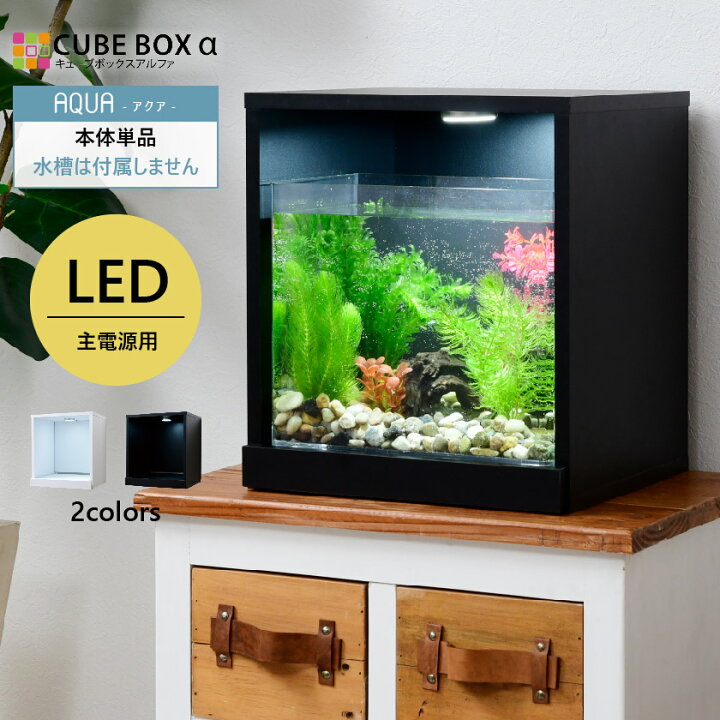 楽天市場】水草が枯れない LED付き キューブボックスα アクア 本体 