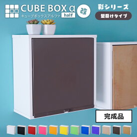 【完成品】 カラフル12色 扉付き 壁掛け キューブボックスα ハーフ 改 彩シリーズ 可動棚付きタイプ 薄型 木製 壁掛け棚 壁掛け収納 ウォールシェルフ ウォールラック コンパクト 正方形 小物入れ 収納棚 トイレ 背面スチール
