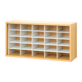 プラレール 収納 棚 ケース プラレールラック レールトイラック 飾る レール トイ Nゲージ 電車 新幹線 車両 お片付け おもちゃ 整理 飾り棚 子供部屋 コレクション ラック ディスプレイ 収納棚 推し活