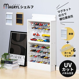 ミニカー＆トレイン専用マグネット棚6個付き マグリルシェルフ ミニカー 収納棚 ディスプレイケース コレクションケース Nゲージ トミカ プラレール 可動棚 コレクション棚 ディスプライ棚 薄型 積み重ね