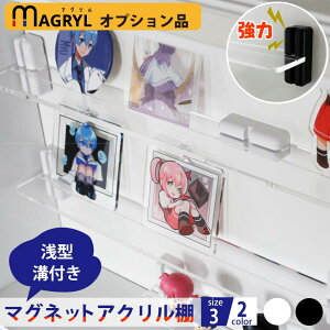マグネット アクリル棚 溝付き 幅310/380/660mm カード 飾る アクスタ ディスプレイ フィギュア 棚 コレクションケース 透明 棚板 日本製 強力 磁石 推し活 収納