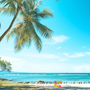 y10Nł5%OFFN[|z yCBA CBH pwʃfUCV[gz 썑 l r[` ][g  V  i wi  _ C I[V V̖  [