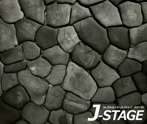 y204H聚5%OFFN[|z yJ-STAGE X^_[h M[^Cvp ʃfUCV[gz Ώ n Ί_ sK Ï a m  Xg[g H  [