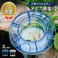 【エサの拡散を防ぎ、食べ残し、水汚れ防止！】 メダカ食堂 めだか エサ 食べ残し 容器 金魚 餌 水キレイ…