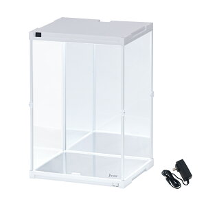 nC^Cvo UVJbg RNVP[X J-STAGE HIGH LED{^Cv ʁEwʃ_u~[t LED ANP[X LEDt tBMAP[X  RNVbN tBMA fBXv