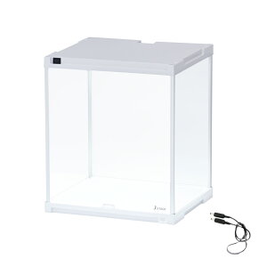 y30505%OFFN[|z yAǉpz LEDt RNVP[X J-STAGE UVJbg^Cv i~[j LED tBMAP[X ANP[X LIP[X tBMAP[X RN